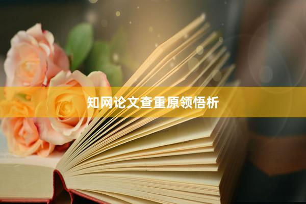 知网论文查重原领悟析