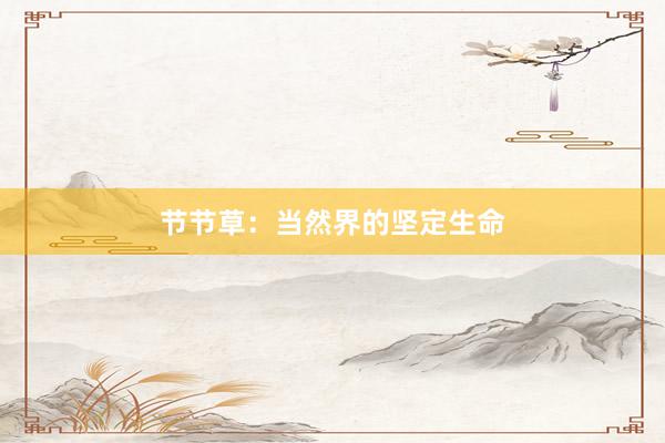 节节草：当然界的坚定生命