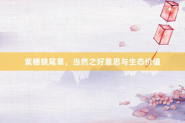 紫穗狼尾草，当然之好意思与生态价值