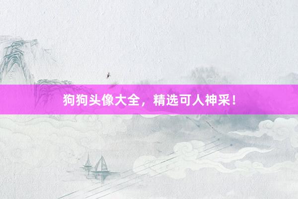 狗狗头像大全，精选可人神采！