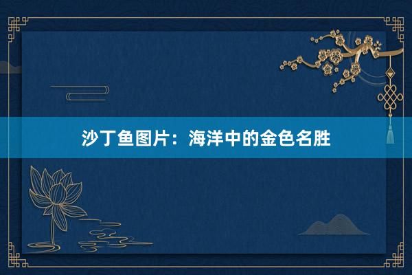 沙丁鱼图片：海洋中的金色名胜
